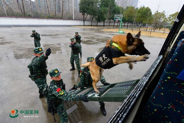 今晚澳门必中一肖一码适囗务目,动态解析词汇_2024款 Cross 1.6L 自动舒适版NLO169